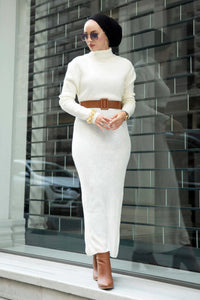 Turtleneck Knitwear Dress